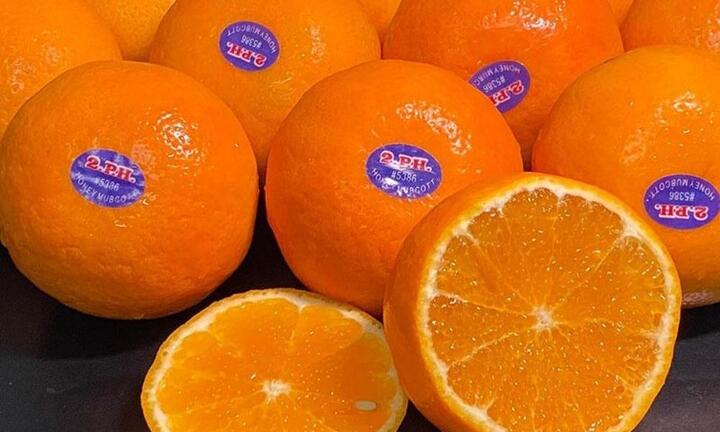 Bay từ Úc về Việt Nam, đặc sản ở xứ sở chuột túi giá rẻ giật mình