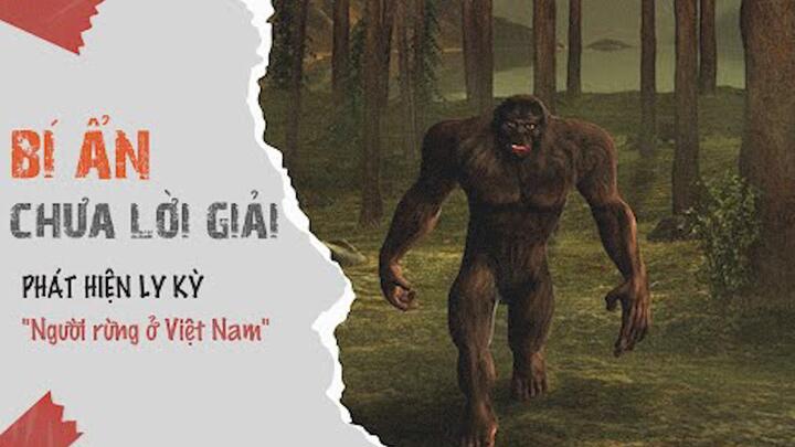 Video: Phát hiện ly kỳ 'Người rừng ở Việt Nam'