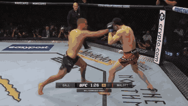 Video: Võ sĩ tung cú đấm móc 'trời giáng' khiến đối thủ ngã gục