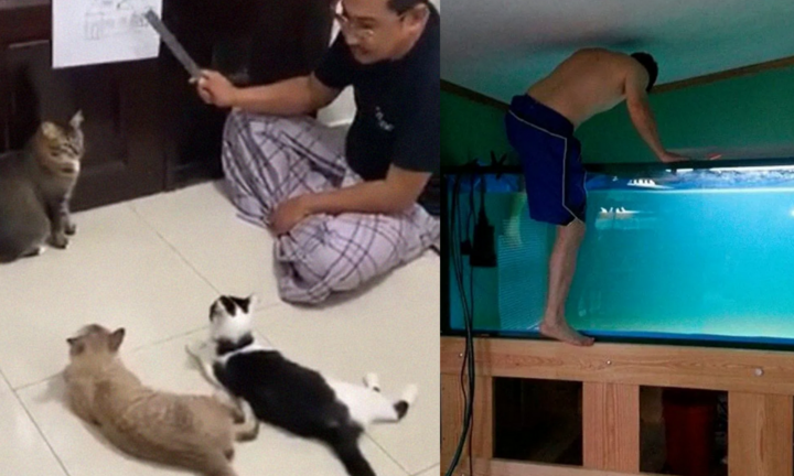 Cạn lời với những trò 'điên rồ' mà dân tình bày ra khi ở nhà lúc buồn chán