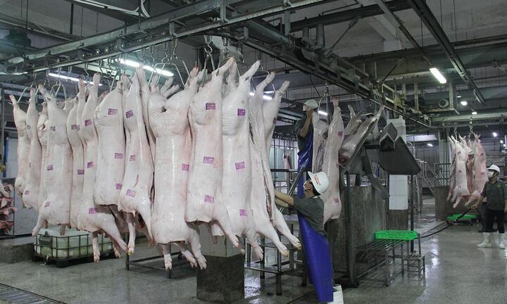 Giá lợn hơi tiến sát mốc 60.000 đồng/kg