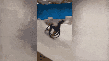 Video: Kinh ngạc pha lộn ngược trên xe lăn của cậu bé khuyết tật