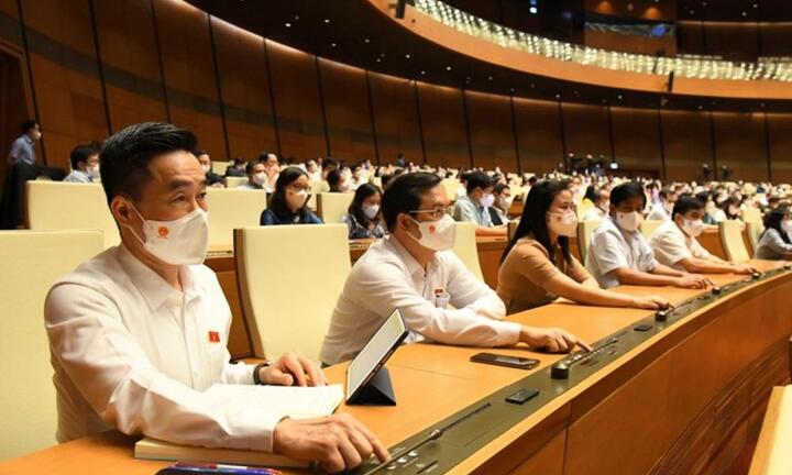 Kiên quyết với những dự án luật 'cài cắm' lợi ích nhóm