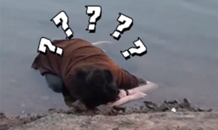 Người dân tá hỏa phát hiện vật thể lạ trên sông và cái kết dở khóc dở cười