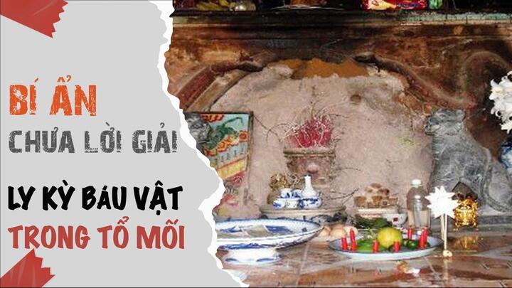 Video: Lời đồn có báu vật nằm trong tổ mối tại chùa Tác Đức