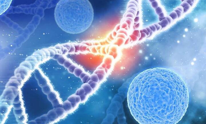 Cải thiện bạc tóc, rụng tóc cùng công nghệ đột phá từ Dr. Hatachi