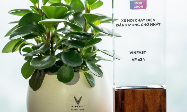 Dấu ấn kỷ lục của mẫu ô tô điện Việt đầu tiên sau một năm mở bán