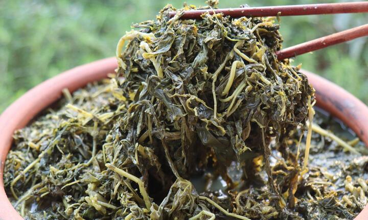 Loại rau nhà nghèo lên sàn thương mại điện tử, bán cả trăm suất mỗi ngày