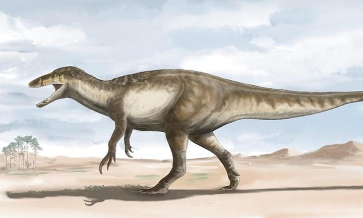 Phát hiện hóa thạch của một loài khủng long lớn nhất từ trước đến nay