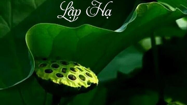 Tiết Lập hạ 2022 bắt đầu từ ngày nào?