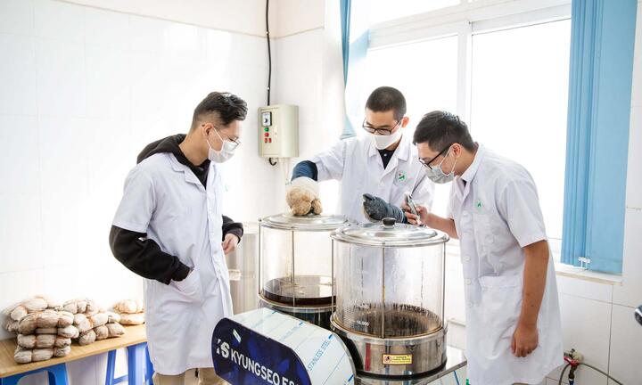 Mô hình 'đại học thu nhỏ' ở bậc phổ thông tại Vinschool