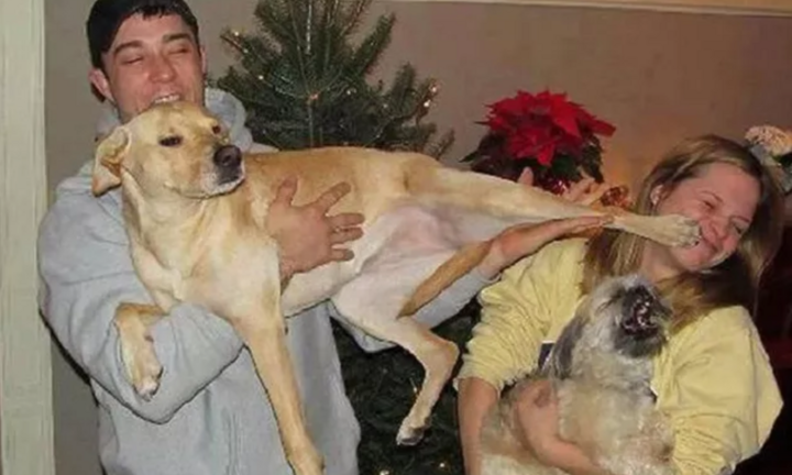 Những bức ảnh gia đình ‘bất ổn’ trông vừa thương vừa không nhịn được cười