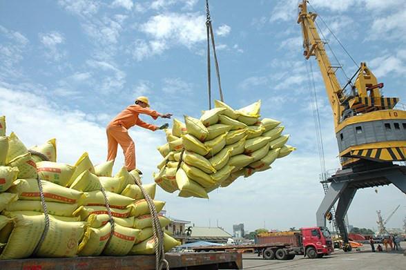 Xuất khẩu gạo Việt Nam vượt mốc 1 tỷ USD, giá bán áp đảo gạo Thái