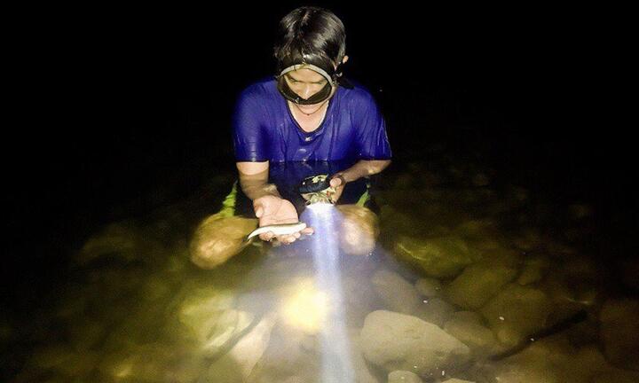 Ảnh: Nửa đêm rọi đèn, ngâm mình dưới suối săn loài cá 'điên' ở Quảng Trị