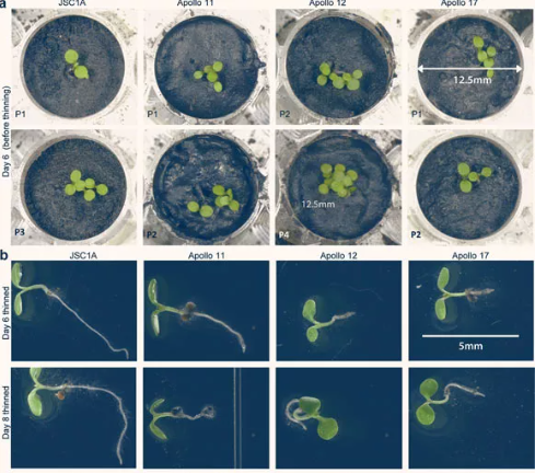 Xuất hiện bằng chứng mới về sự sống trên Mặt Trăng 