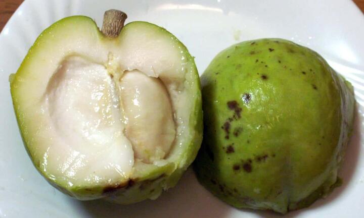 Loại trái cây độc đáo có vị béo ngọt như bánh kem, giá vài trăm nghìn đồng/quả