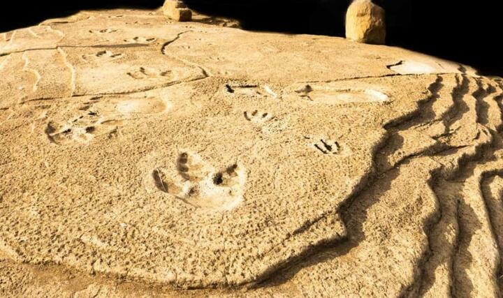 Khám phá những bí mật của loài khủng long