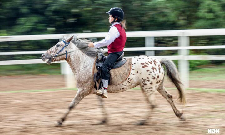 Người Hà Nội chi tiền triệu học cưỡi ngựa chuẩn phong cách châu Âu