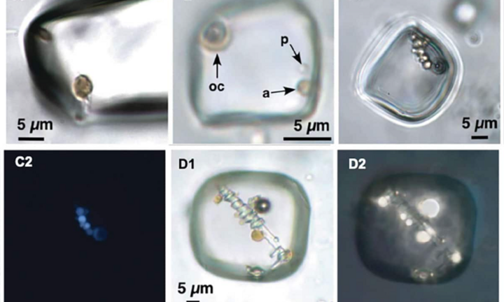 Bí ẩn sinh vật cổ đại 830 triệu năm tuổi bên trong tinh thể đá muối