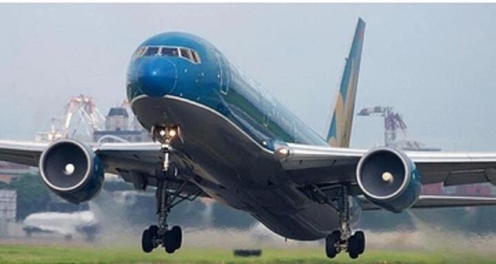 Vietnam Airlines tốn trăm tỷ đồng sửa chữa máy bay sau các vụ va phải chim