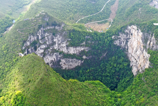 Phát hiện khu rừng cổ đại dưới hố sụt khổng lồ