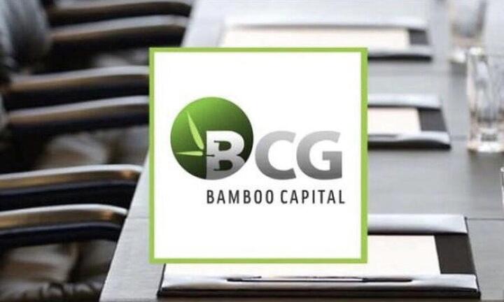 Bamboo Capital làm cách nào để 'cơ cấu tài chính lý tưởng'?