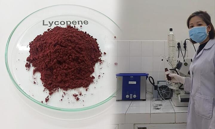 Nhà khoa học Việt chiết tách chất chống oxy hoá từ quả gấc