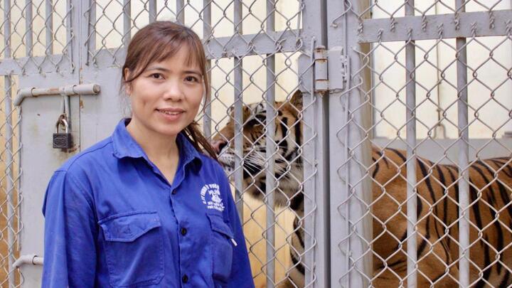 Video: Người phụ nữ 20 năm cọ mũi, vuốt ve đàn sư tử
