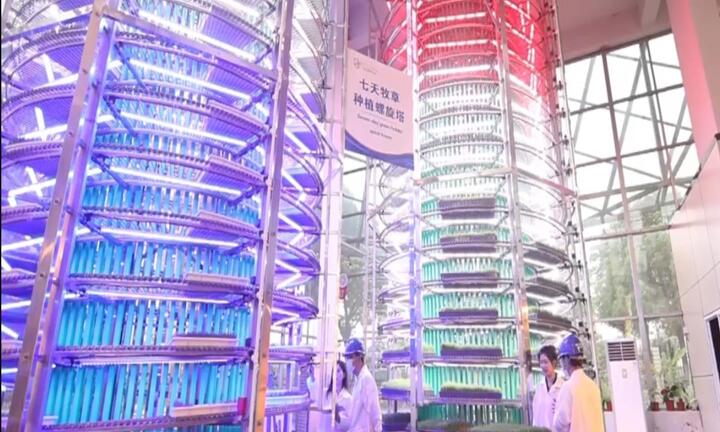 Video: Cận cảnh tháp xoắn ốc trồng cỏ cho gia súc ở Trung Quốc