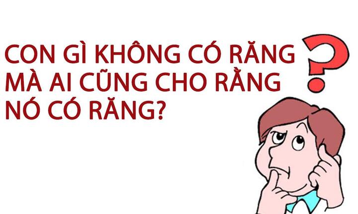 Con gì không có răng mà ai cũng cho rằng nó có răng?