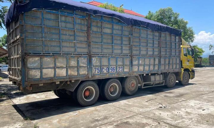 Tước bằng lái 4 tháng với tài xế tố bị CSGT Quảng Trị đánh rạn xương sườn