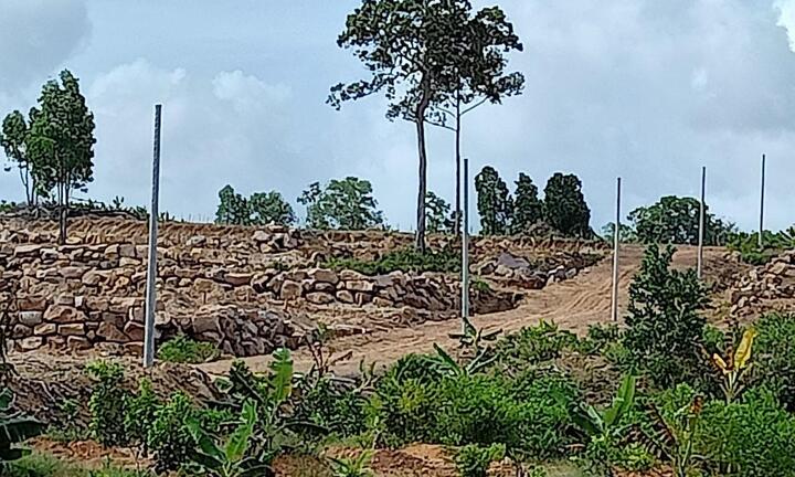 Lại nóng chuyện phá rừng ở Phú Quốc, thủ đoạn ngày càng tinh vi hơn