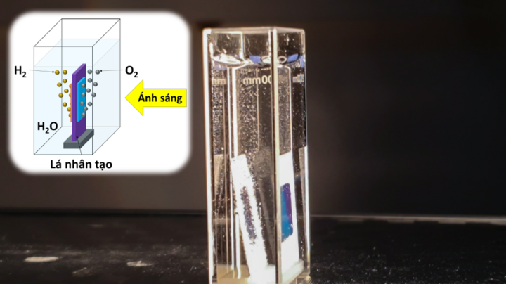 Chế tạo thành công lá cây nhân tạo mới