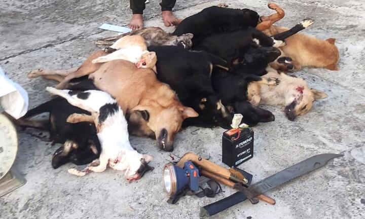 Bắt nam thanh niên vác súng điện từ Quảng Nam ra Đà Nẵng bắn trộm chó, mèo