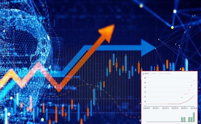 Cổ phiếu ‘lạ’: Tăng trần liên tiếp, giao dịch vẫn ảm đạm