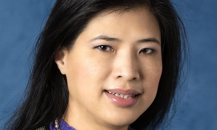 Giáo sư người Việt được Hiệp hội Hóa học Hoàng gia Anh vinh danh