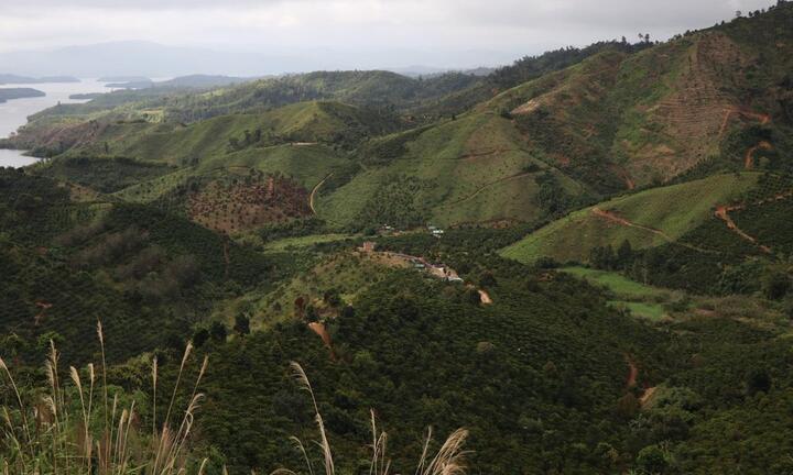 Viện Lâm nghiệp Tây Nguyên để mất 2.000 ha rừng: Thông tin bất ngờ 