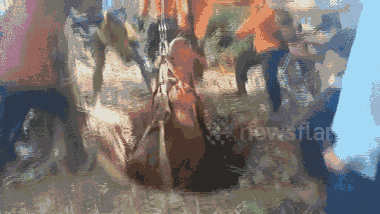 Video: Giải cứu chú bò nặng 1 tấn rơi xuống giếng sâu