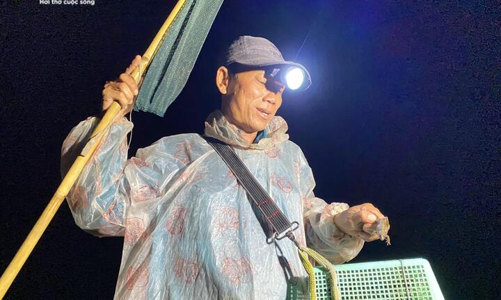 Ảnh: Xuyên đêm soi đèn săn ‘vũ nữ chân dài’ ở miền Tây