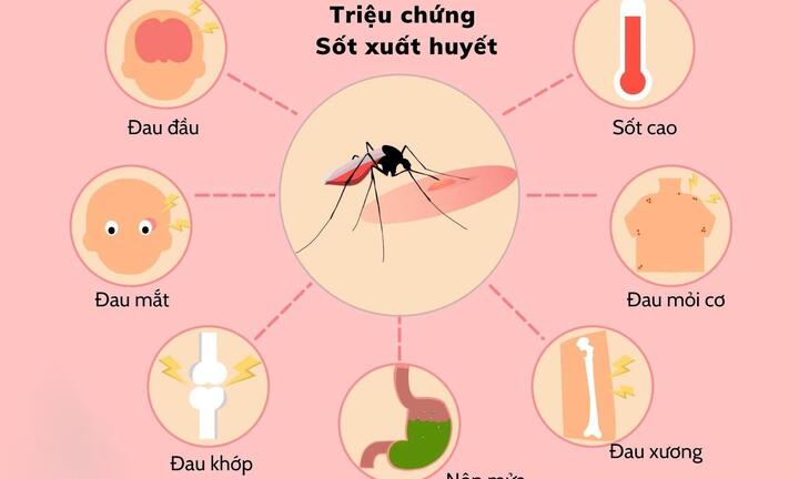 Bộ Y tế: Hơn 43.600 người mắc, 22 ca tử vong vì sốt xuất huyết