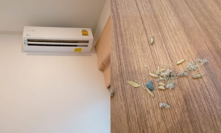 Cô gái tá hỏa phát hiện giòi rớt xuống từ máy lạnh, nguyên nhân gây rùng mình