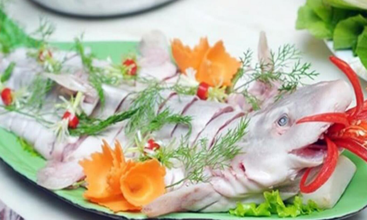 Hấp dẫn món gỏi ‘cá mập sữa’: Đặc sản hiếm ở Quảng Bình ngày hè