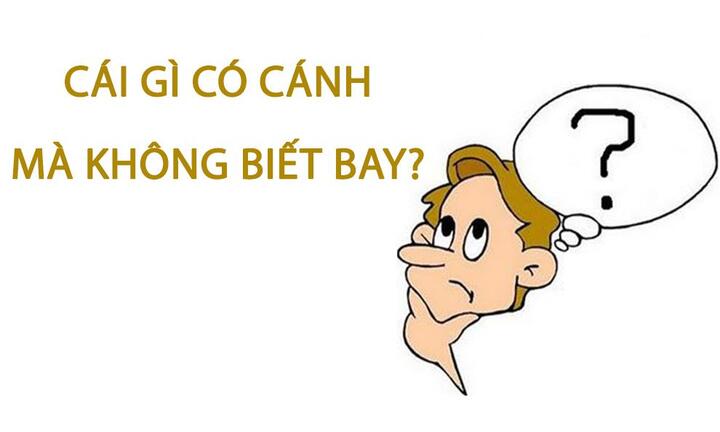 Cái gì có cánh mà không biết bay? 