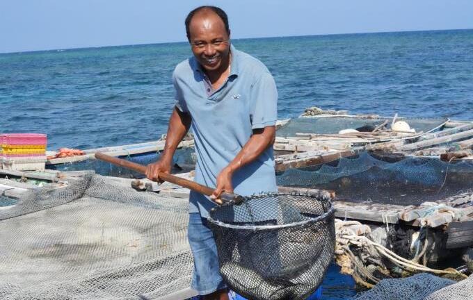 Chuyện lạ ở đảo Phú Quý: Cho cá... đi tắm