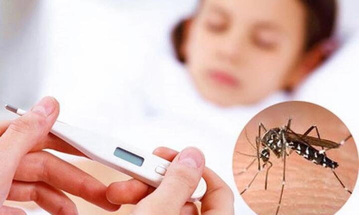 Bình Phước ghi nhận hơn 2.000 ca sốt xuất huyết, 3 người tử vong