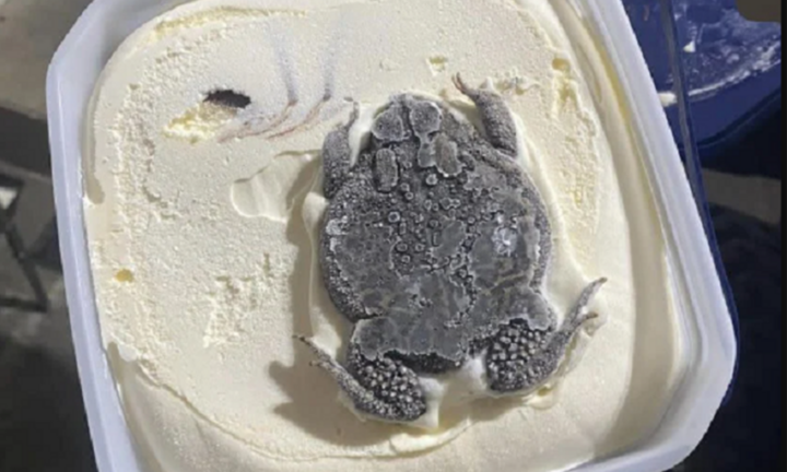 Hãi hùng hộp kem vị ‘ếch nguyên con’ và sự thật gây tranh cãi phía sau