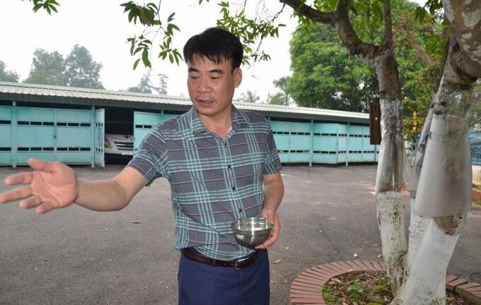 Chuyện kỳ lạ về đàn chim sẻ vài ngàn con chỉ đậu trên một cây ngọc lan