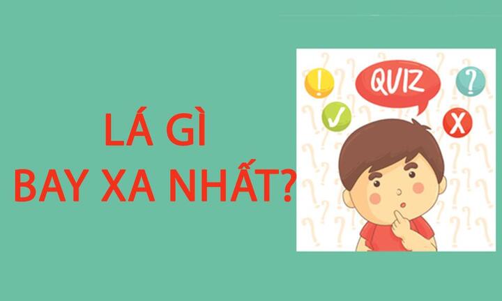Đố vui: Lá gì bay xa nhất? 