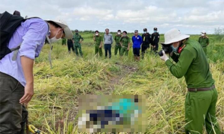 Giăng điện bẫy chuột ở ruộng lúa, gây chết người