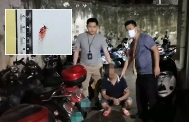 Ly kỳ chuyện muỗi 'báo thù' khiến tên trộm sa lưới 